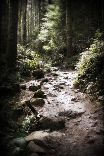 Rattlesnake Mountain Trail near Seattle - 2 of 3