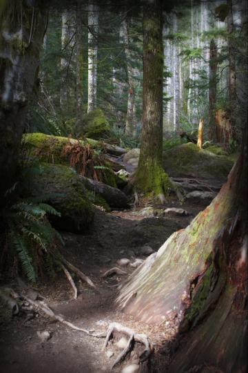 Rattlesnake Mountain Trail near Seattle - 1 of 3